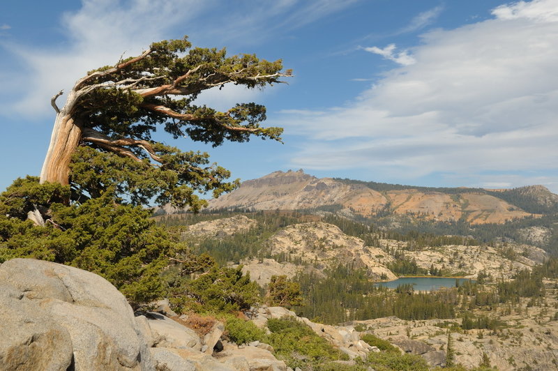 Castle Peak and Lake Angela from the flanks of Donner Peak. with permission from George Lamson