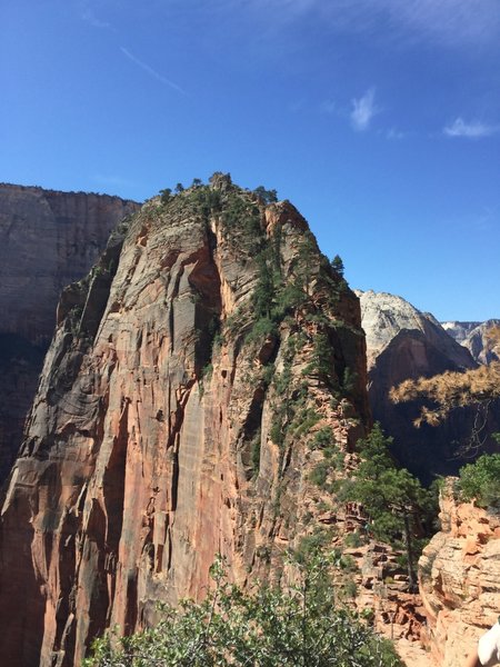 Angels Landing from Scout's Lookout.