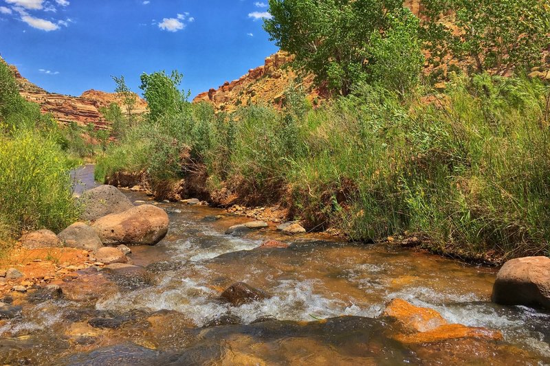 Pleasant Creek flowing quick and clear.