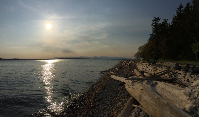 Grab a sunset stroll or run on this path in Lincoln Park for some incredible views of the Puget Sound and the Olympics Mtns.