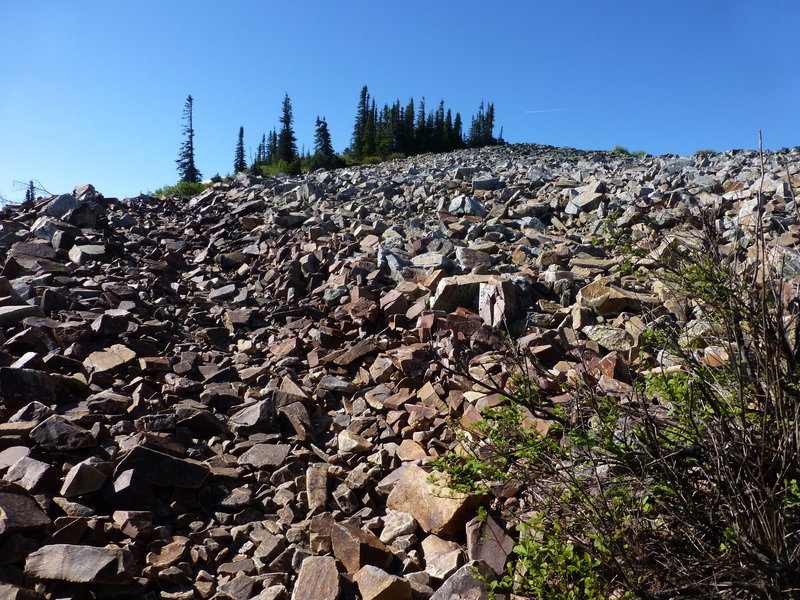 Chilco Mountain Trail, Idaho.