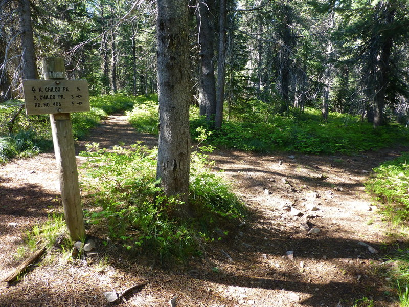 Top junction, Chilco Mountain Trail, Idaho.