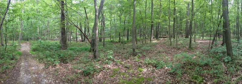 Bottom of White Rocks Trail.