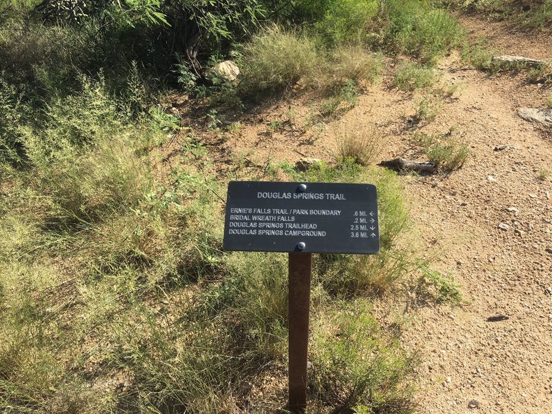 Trail to Ernie's Falls starts 2.5 miles in at the intersection of Douglas Springs Trail/Ernie's Falls and Bridal Wreath.