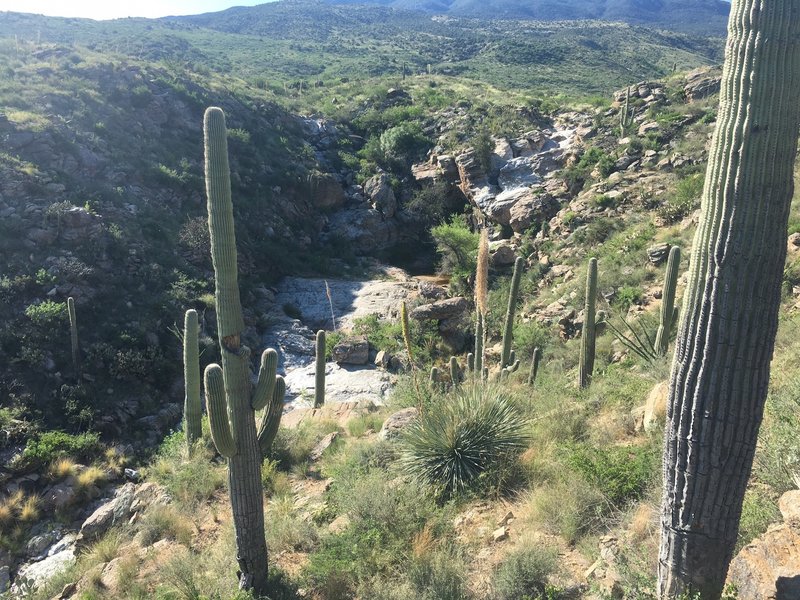 The trail will drop as you come to a rock outcropping, to the right will be Ernie's Falls. Water is seasonal.