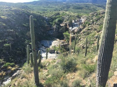 The trail will drop as you come to a rock outcropping, to the right will be Ernie's Falls. Water is seasonal.