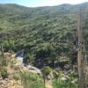 Looking down the canyon from Ernie's Falls view point. Bobcat and deer have been spotted all along here.