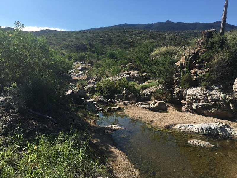 Looking up the wash from rest spot. Heading back to trailhead... don't forget to latch the gate at the boundary line.