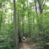 Running the Waterfall Trail.