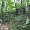 The climber in me had a hard time keeping my eyes on this section of the Lakeshore Bluffs Trail.