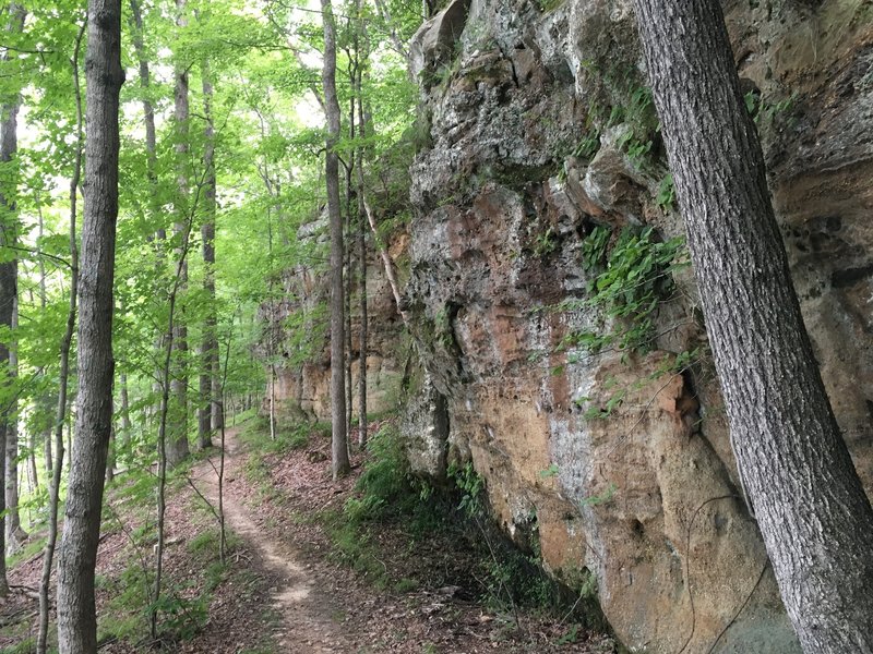 Lakeshore Bluffs Trail and very tempting bouldering.