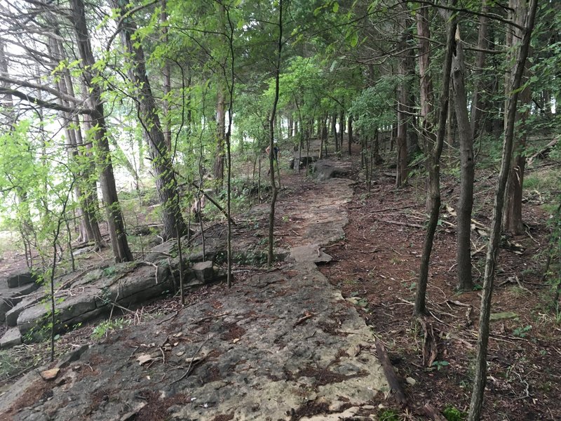 Great section of the Point Loop that runs right along the lake.