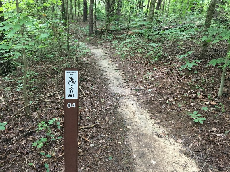 Typical signage on the trail system.