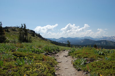 The Ellis Peak Trail winding along an alpine ridge-line.