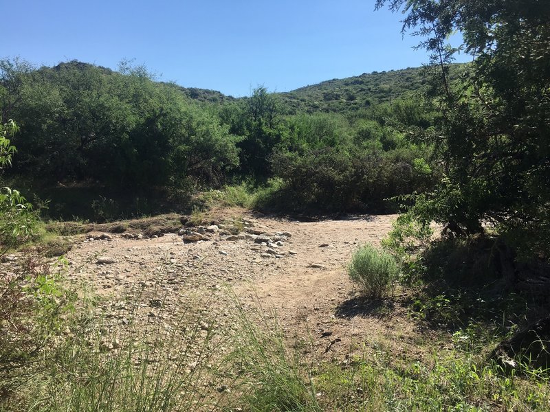 The trail crosses the wash... depending on time of year and weather can be dry or full and flowing really well.