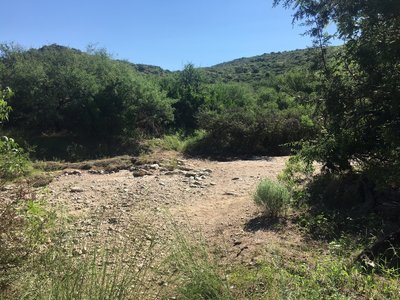 The trail crosses the wash... depending on time of year and weather can be dry or full and flowing really well.