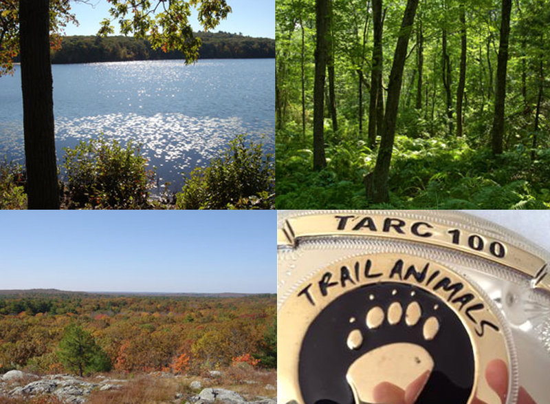 Scenes from the TARC 100 course, Hale Reservation, Westwood, MA.