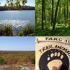 Scenes from the TARC 100 course, Hale Reservation, Westwood, MA.