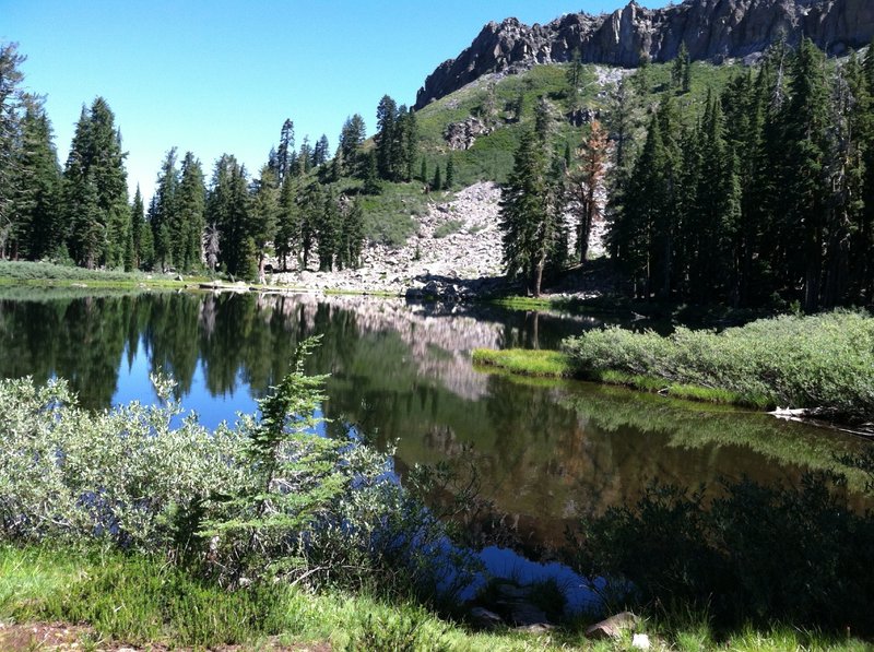 A view of the still waters of Ellis Lake.