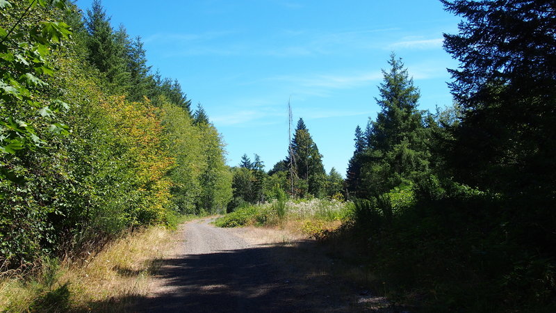 Starting to veer away from the highway and get into the slightly wilder parts of the trail.