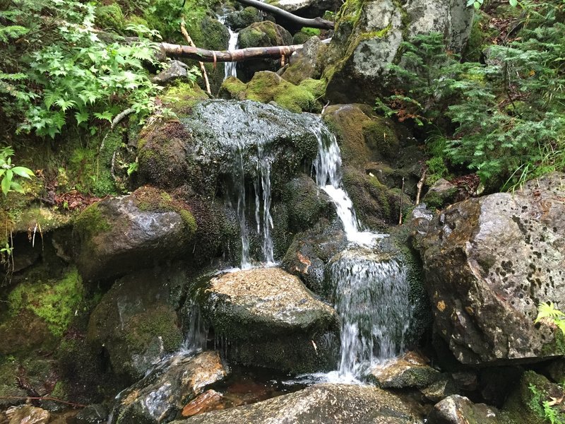 Second stream crossing.