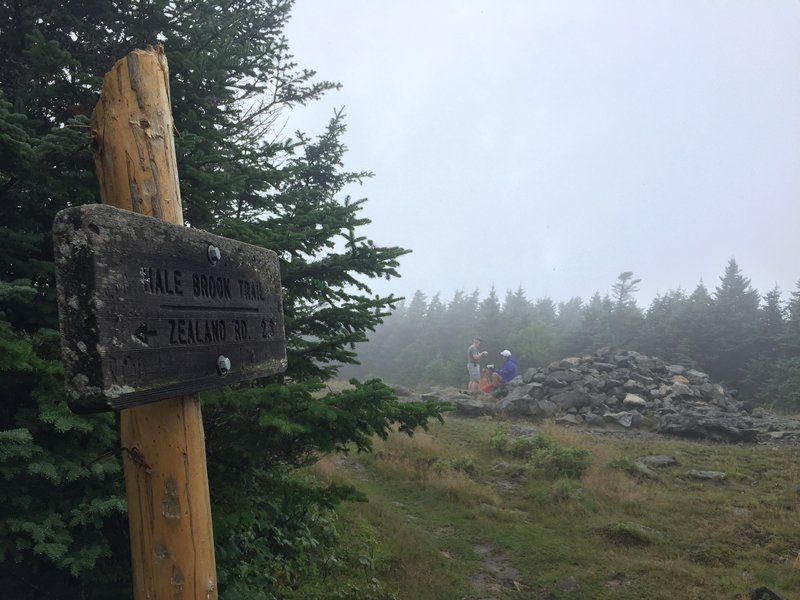 Mount Hale Summit via the Hale Brook Trail.