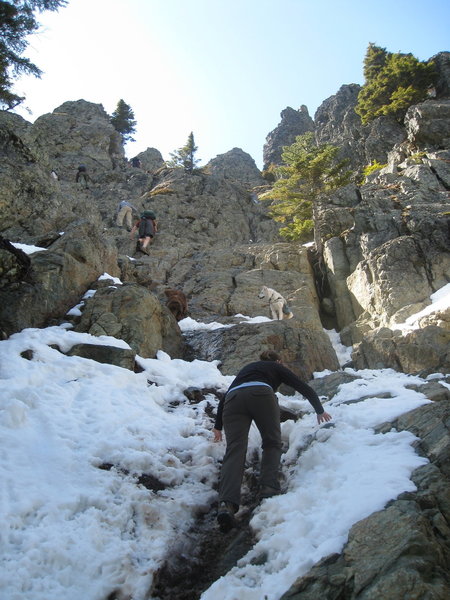 Scrambling up the haystack rock.  Better to tie the dogs up at the base... these ones could have caused an issue!