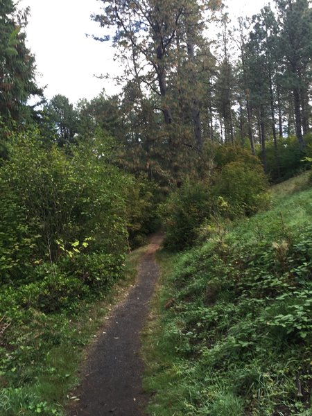 Smooth trail in the park