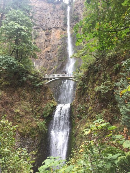 View up toward Multnomah Falls