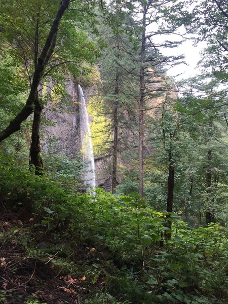 The trail ascends around the falls to the top