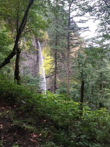 The trail ascends around the falls to the top