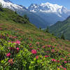 Mont Blanc from the Aguillette des Posettes