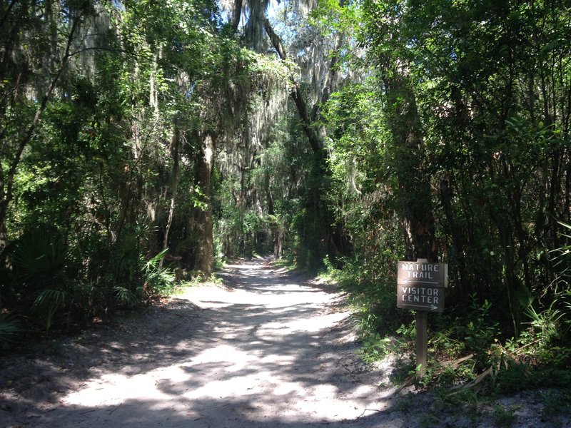 The Nature Trail begins along a sandy route.