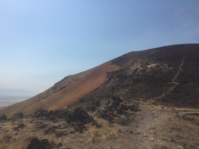 View of the burn after the July 2016 fire that left 15,000 acres burned.