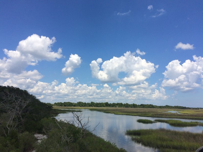 Another view of the marsh from the elevated platform.