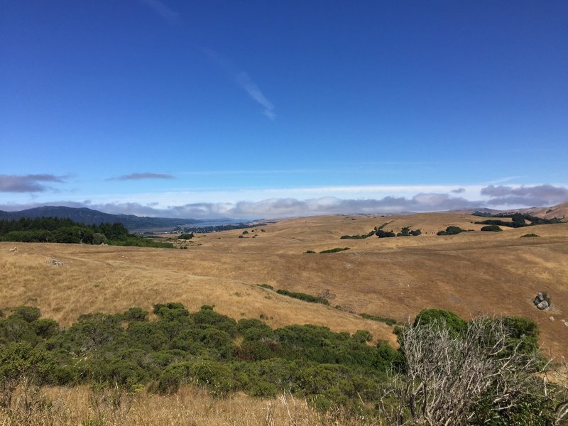 The Mount Tam watershed rolls into the distance.