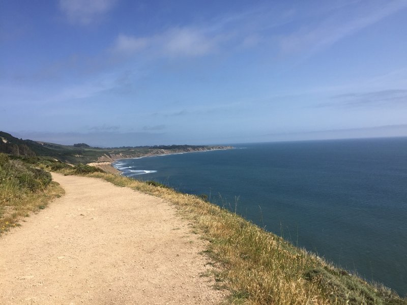 The Palomarin trail makes its way along the coast.