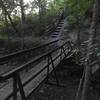 Bridge crossing creek before steep ascent.