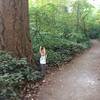 Big tree along the trail, toddler included for scale.