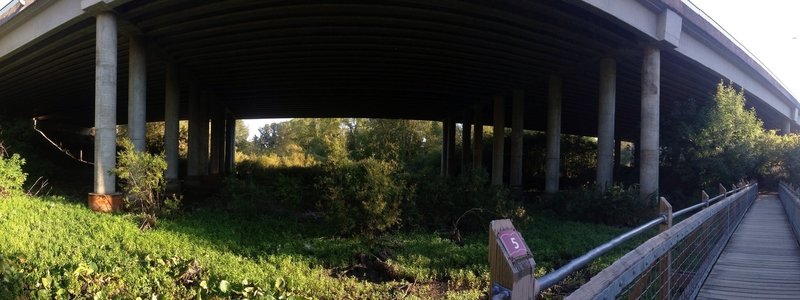 Second bridge, looking out under Hwy 16 and south side of wetlands.