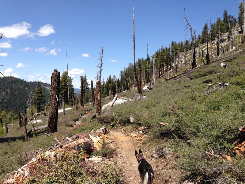 Almost to the bottom of the Christmas Valley Trail.