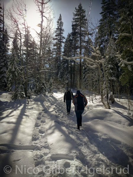 Out for a winter hike.