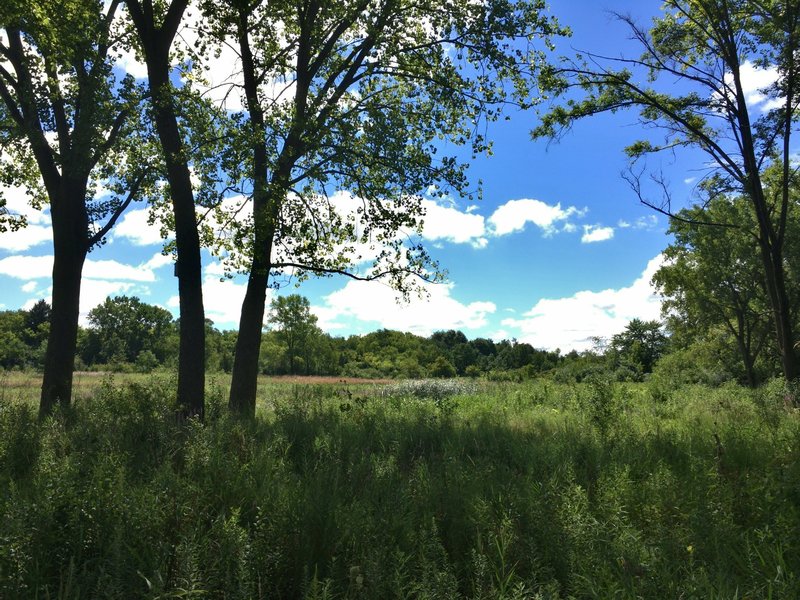 View facing south from paved trail. Spring Valley Nature Center 8/21/16