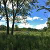 View facing south from paved trail. Spring Valley Nature Center 8/21/16