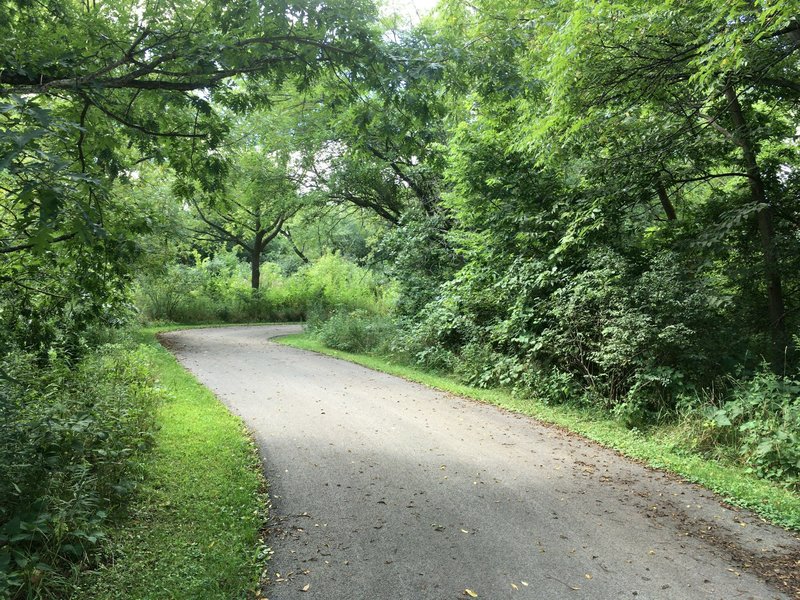 Winding path through forest. Spring Valley Nature Center 8/21/16