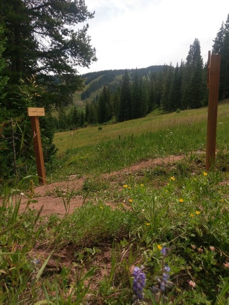 Where the "stem" of the Meadows Loop lollipop meets the "head"