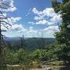 View before the summit.  Wild fresh blueberries along the trail.