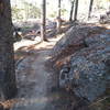 Starting out from the Casper Mountain Trail Center.