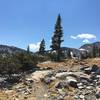 Looking up the Granite Lakes Trail.