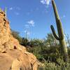 Look carefully, petroglyphs exists along the Picture Rock Wash Trail.